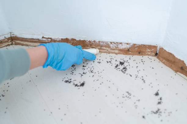 Reliable Fort Myers, FL Pest Control Solutions